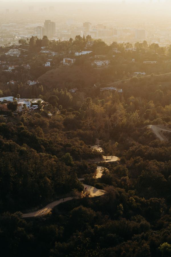 Hollywood CA
